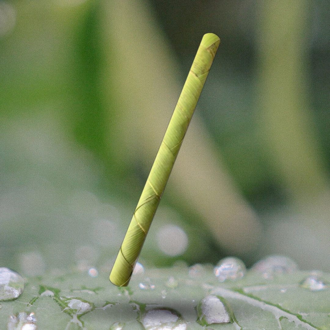 Green Date Palm Leaf Straws